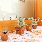 Belahora By Apartment *